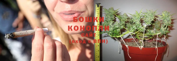 молекула духа Краснослободск