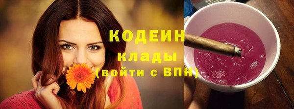 молекула духа Краснослободск