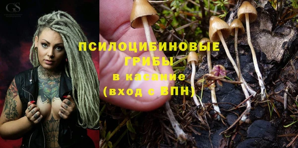 спиды Красноперекопск