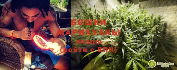 молекула духа Краснослободск