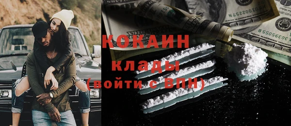 молекула духа Краснослободск