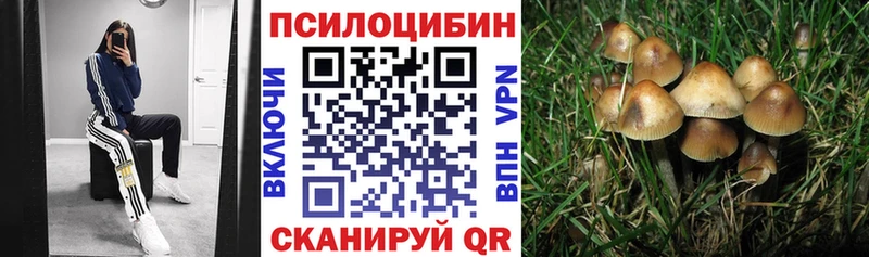 Галлюциногенные грибы Cubensis  Купить  Сальск 